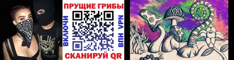 Псилоцибиновые грибы прущие грибы  купить закладку  Алагир 